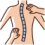 chiropractic (1)
